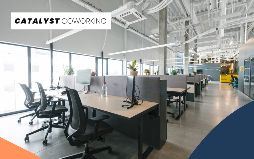 Coworking Space With Business Resources: Mentorship, Not Just a Desk